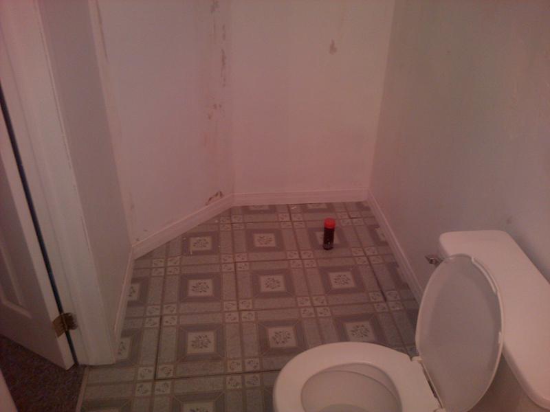 AK SHOWER PROS LLC